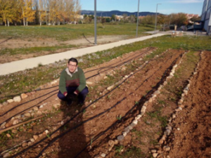 Lee más sobre el artículo Próxima reunión transnacional del Proyecto IN-WORK en la Universitat Rovira i Virgili y la iniciativa INSERLAB